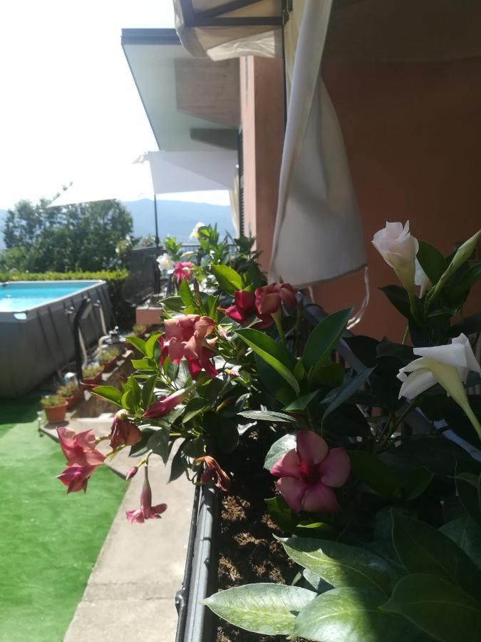 La Fontanella Apartment Polverara Εξωτερικό φωτογραφία