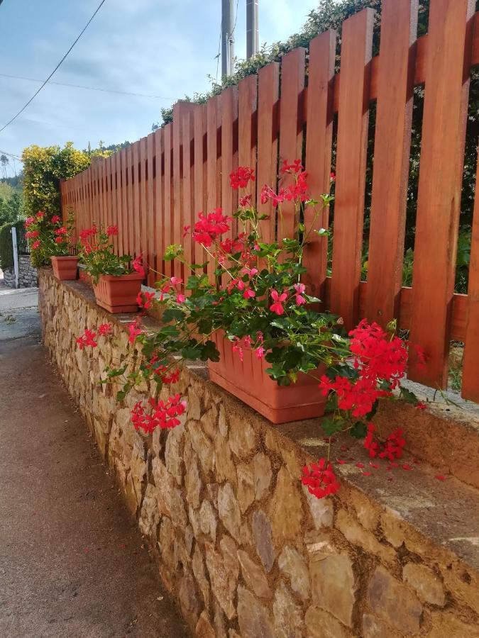La Fontanella Apartment Polverara Εξωτερικό φωτογραφία